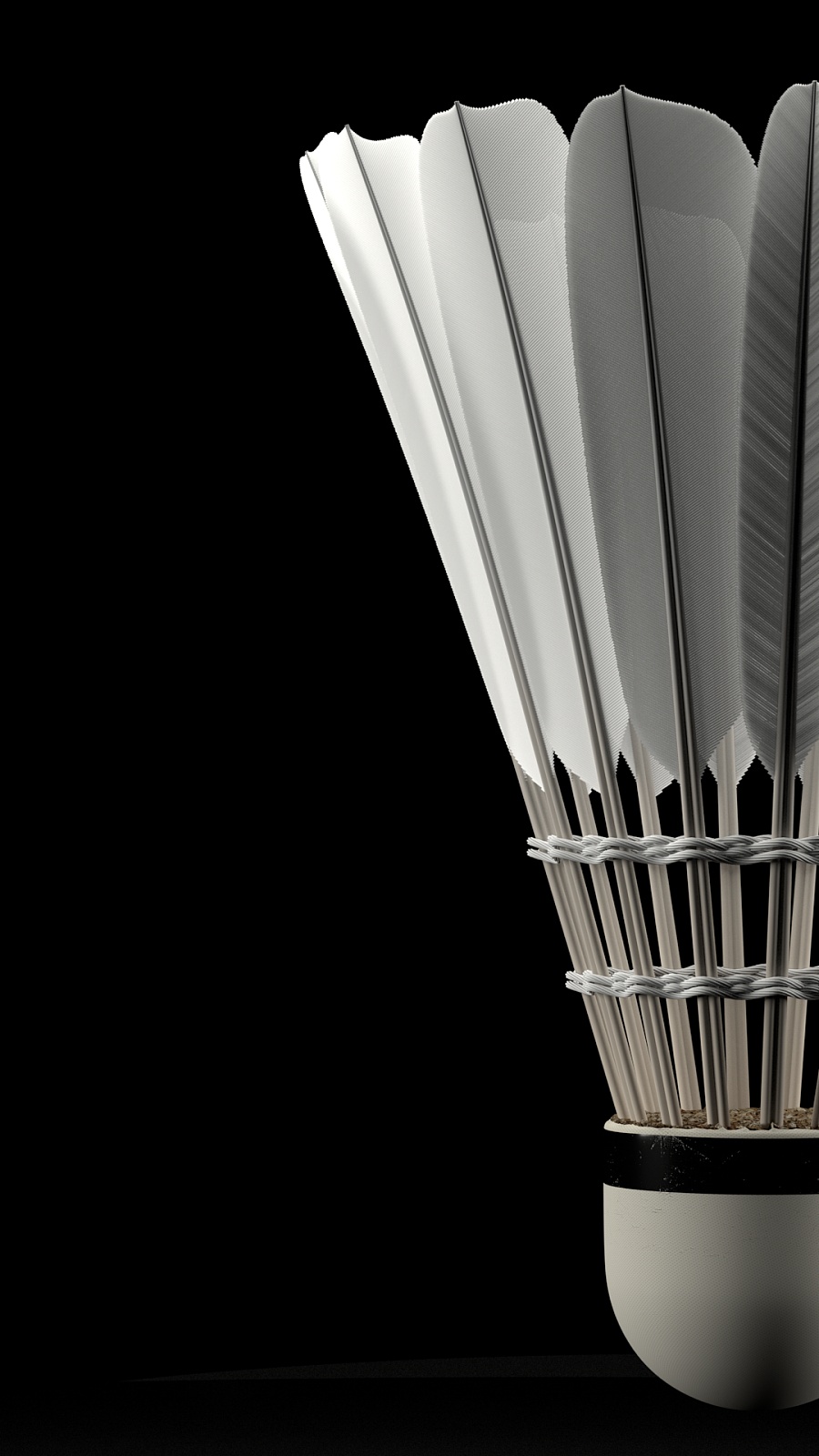 熠熠阵容期 熠熠阵容期